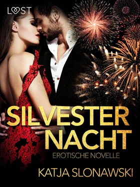 Katja Slonawski Silvesternacht: Erotische Novelle обложка книги