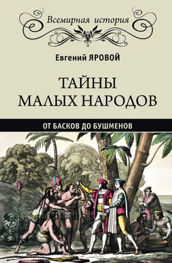 Евгений Яровой Тайны малых народов. От басков до бушменов обложка книги