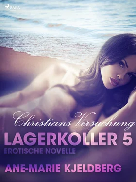 Ane-Marie Kjeldberg Lagerkoller 5 - Christians Versuchung: Erotische Novelle обложка книги