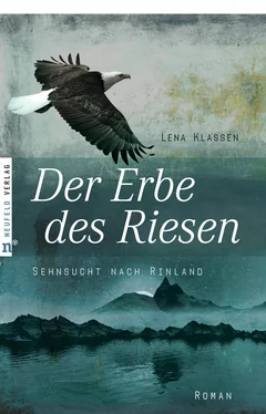 Lena Klassen Der Erbe des Riesen обложка книги