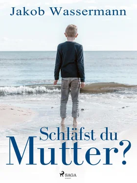 Jakob Wassermann Schläfst du, Mutter? обложка книги