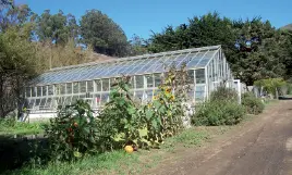 Invernadero de cristal fotografía La principal ventaja es la mejora de la - фото 14