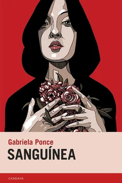 Gabriela Ponce Sanguínea обложка книги