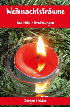 Jürgen Heider Weihnachtsträume обложка книги