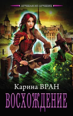 Карина Вран Восхождение обложка книги