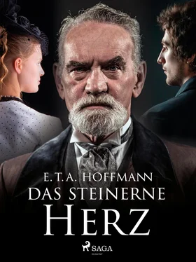 E.T.A. Hoffmann Das steinerne Herz обложка книги