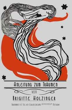 Brigitte Holzinger Anleitung zum Träumen обложка книги