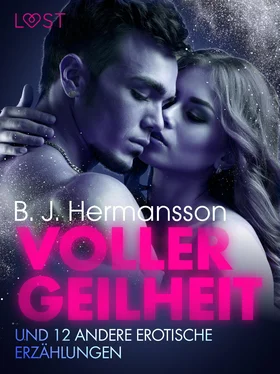 B. J. Hermansson Voller Geilheit und 12 andere erotische Erzählungen обложка книги