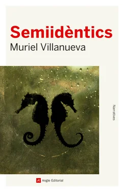 Muriel Villanueva Semiidèntics обложка книги