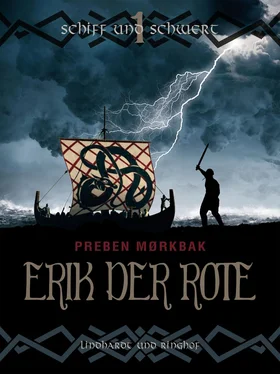Preben Mørkbak Erik der Rote - Schiff und Schwert обложка книги