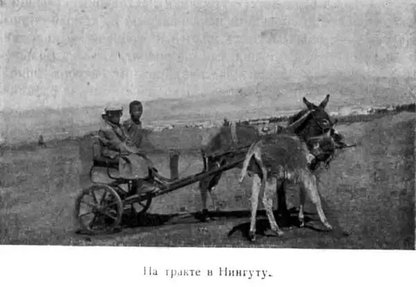 На тракте в Нингуту Все жмется к узенькой полоске света и культуры Вблизи - фото 13
