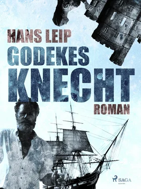 Hans Leip Godekes Knecht обложка книги