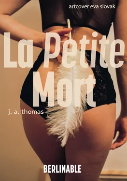 J.A. Thomas La Petite Mort обложка книги