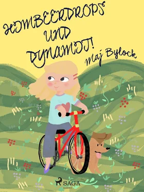 Maj Bylock Himbeerdrops und Dynamit обложка книги