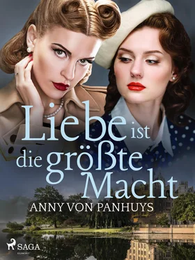 Anny von Panhuys Liebe ist die größte Macht обложка книги