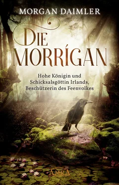 Morgan Daimler Die Morrígan обложка книги