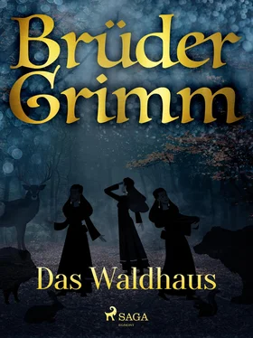 Brüder Grimm Das Waldhaus обложка книги