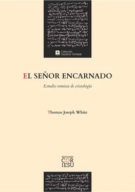 Thomas Joseph White El Señor encarnado обложка книги