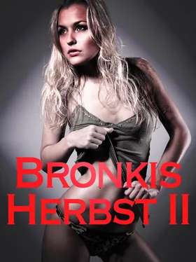Herbert Seidler Bronkis Herbst II обложка книги
