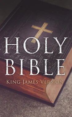 Various Authors Various Authors Holy Bible: King James Version обложка книги