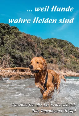 Udo Ingenbrand ... weil Hunde wahre Helden sind обложка книги