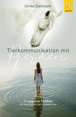 Ulrike Dietmann Tierkommunikation mit Pferden обложка книги