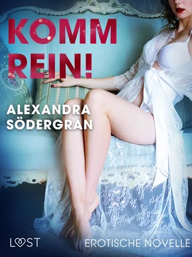 Alexandra Södergran Komm rein! Erotische Novelle обложка книги