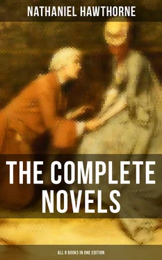 Nathaniel Hawthorne The Complete Novels of Nathaniel Hawthorne - All 8 Books in One Edition обложка книги