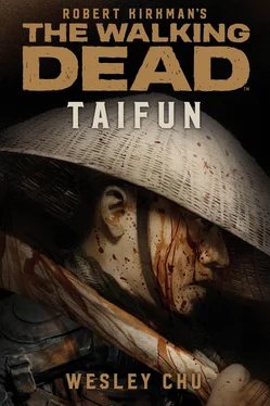 Wesley Chu The Walking Dead: Taifun обложка книги