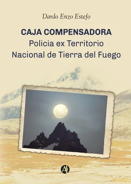 Dario Estefó Caja Compensadora обложка книги