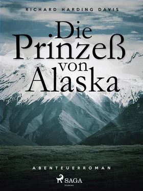 Richard Henry Savage Die Prinzess von Alaska обложка книги