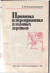 Евгений Камендровский - Прививка и перепрививка плодовых деревьев