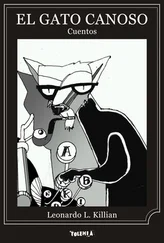 Leonardo Killian - El gato canoso