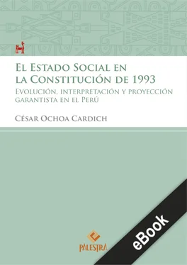 César Ochoa El estado Social en la Constitución de 1993 обложка книги