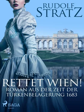 Rudolf Stratz Rettet Wien! Roman aus der Zeit der Türkenbelagerung 1683 обложка книги