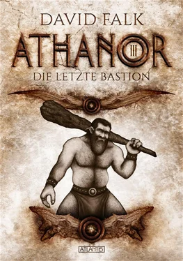 David Falk Athanor 3: Die letzte Bastion обложка книги