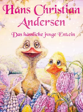 Hans Christian Das hässliche junge Entlein обложка книги