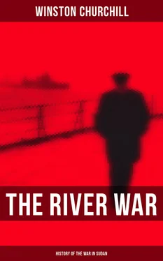 Winston Churchill The River War (History of the War in Sudan) обложка книги