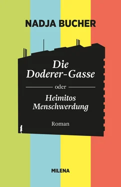 Nadja Bucher DIE DODERER-GASSE обложка книги
