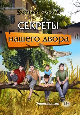 Валерий Екимов Секреты нашего двора обложка книги