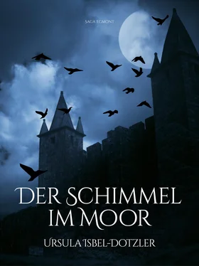 Ursula Isbel-Dotzler Der Schimmel im Moor обложка книги