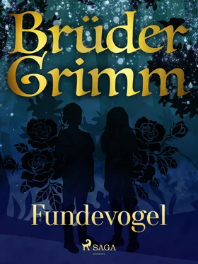 Brüder Grimm Fundevogel обложка книги