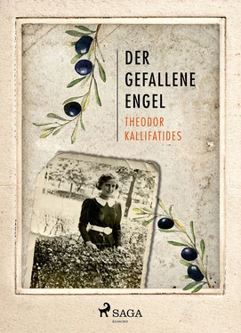 Theodor Kallifatides Der gefallene Engel обложка книги