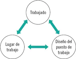 La aplicación de la ergonomía al lugar de trabajo reporta muchos beneficios - фото 27