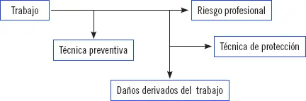 4 Otras patologías derivadas del trabajo Se pueden identificar como otras - фото 12