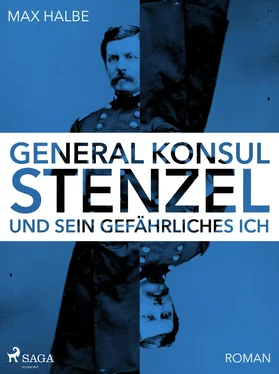 Max Halbe Generalkonsul Stenzel und sein gefährliches Ich обложка книги