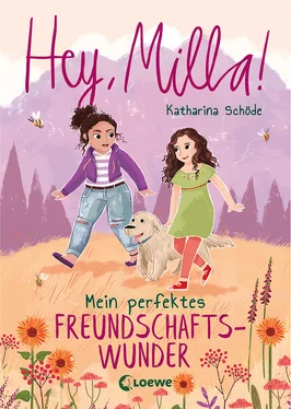 Katharina Schöde Hey, Milla! - Mein perfektes Freundschaftswunder обложка книги