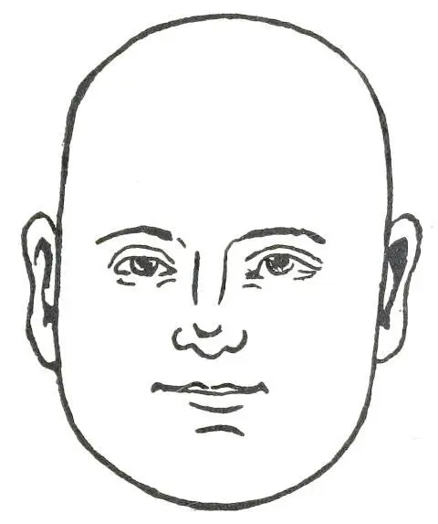 Fig 13 OBLONG FACE In Fig 13 we see the Oblong Face This face is indicative - фото 15