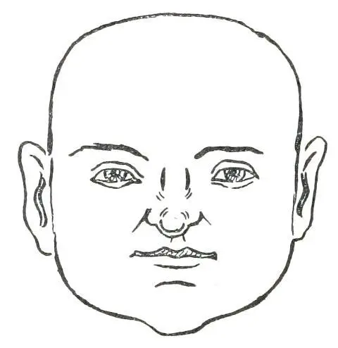 Fig 15 SQUARE FACE In Fig 16 we see the Eggshaped Face This face indicates - фото 17