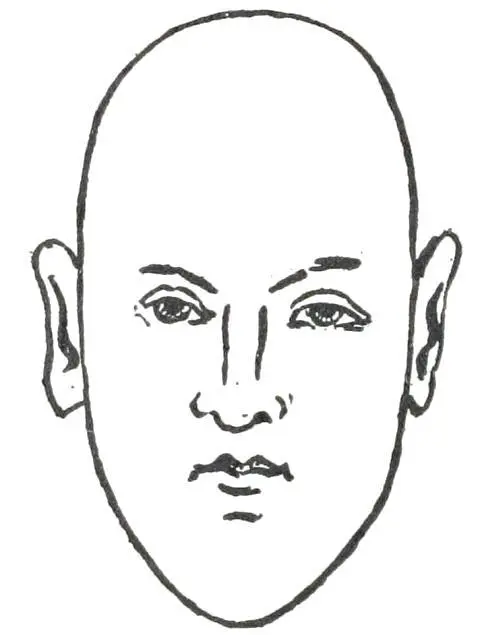Fig 19 NARROW FACE In studying faces not only the general shape of the face - фото 21
